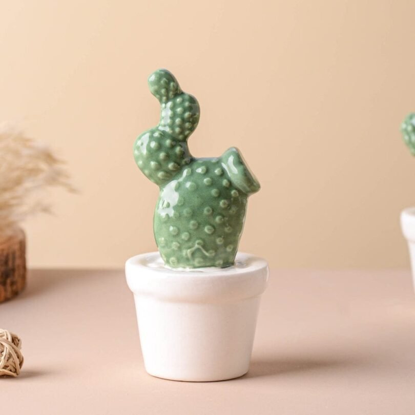 Tempting Cactus Plant Small Showpiece. - Image 2
