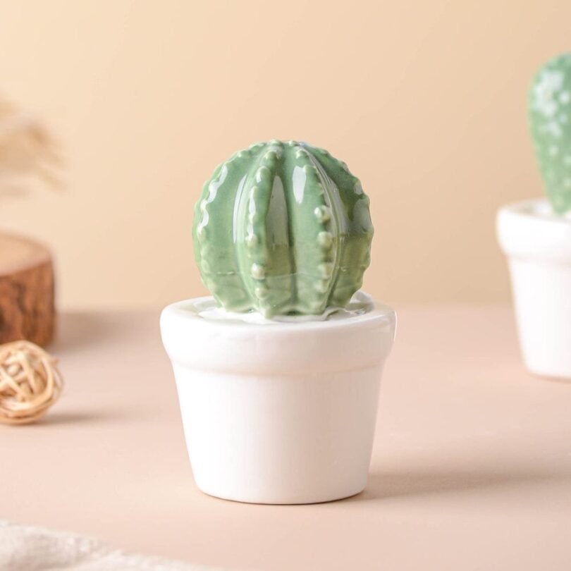 Tempting Cactus Plant Small Showpiece. - Image 3