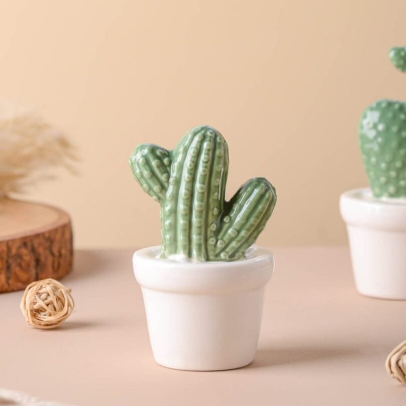 Tempting Cactus Plant Small Showpiece. - Image 6