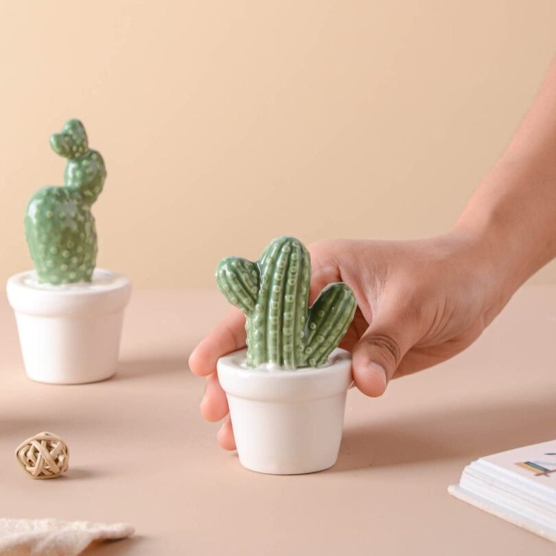 Tempting Cactus Plant Small Showpiece. - Image 7