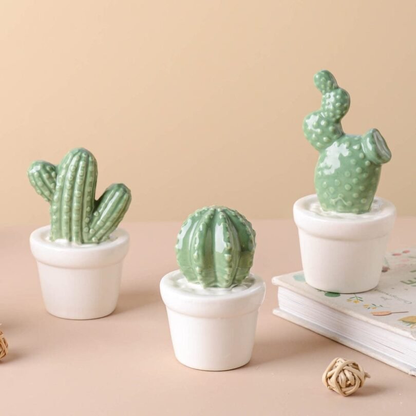 Tempting Cactus Plant Small Showpiece. - Image 8