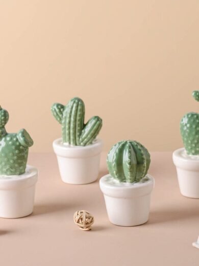 Tempting Cactus Plant Small Showpiece.