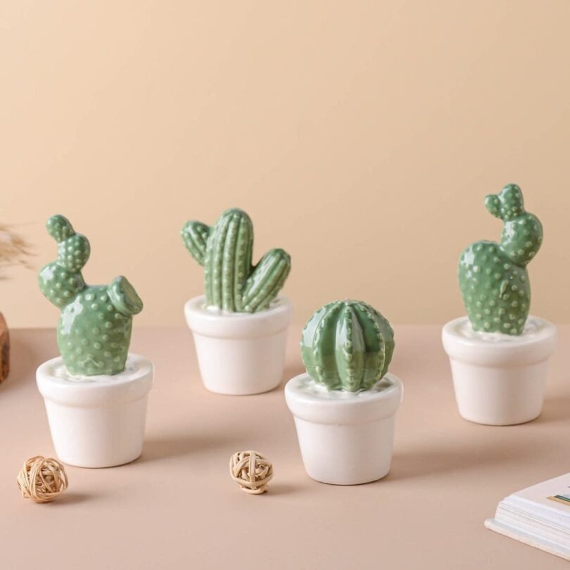 Tempting Cactus Plant Small Showpiece.