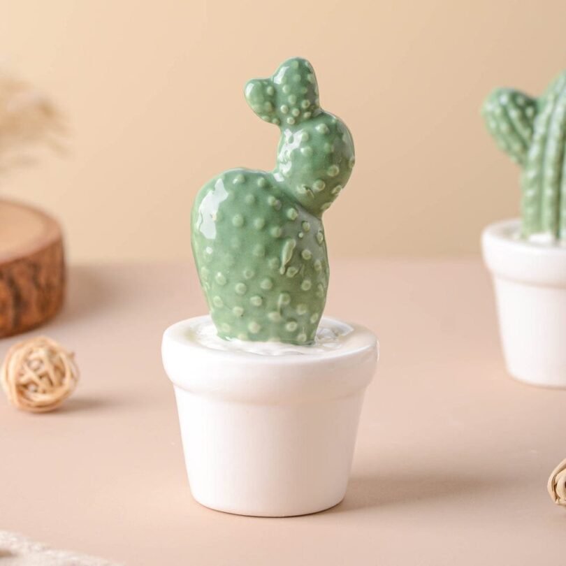Tempting Cactus Plant Small Showpiece. - Image 9